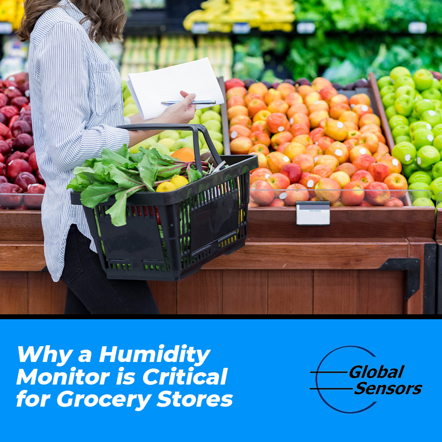 Why a Humidity Monitor is Critical for Grocery Stores
