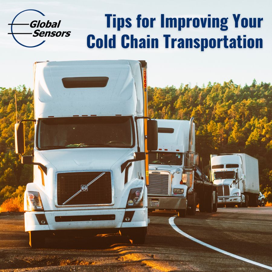 Use a Temperature Monitor and These Tips for Improving Your Cold Chain Transportation