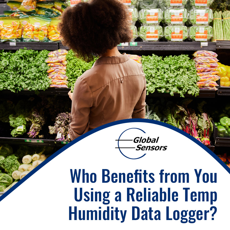 Who Benefits from You Using a Reliable Temp Humidity Data Logger?